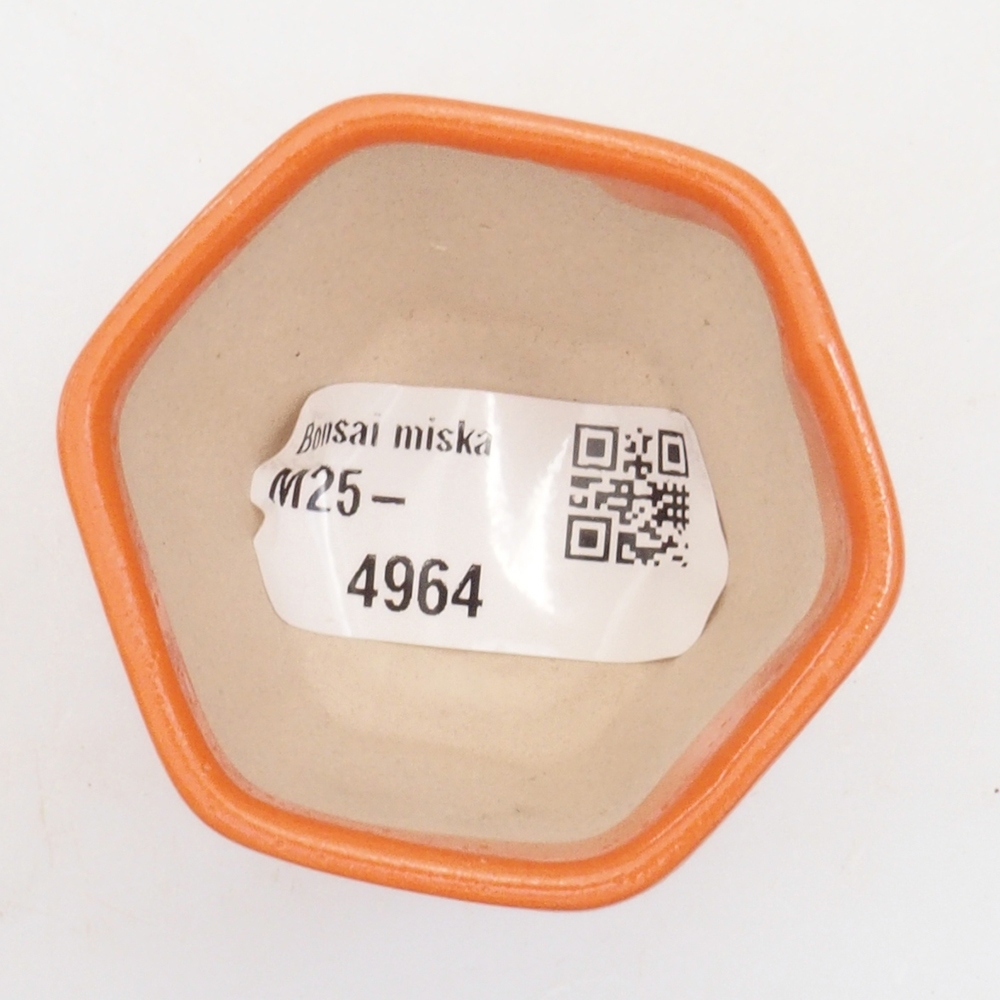 Mini bol bonsaï 5 x 5 x 5 cm, orange