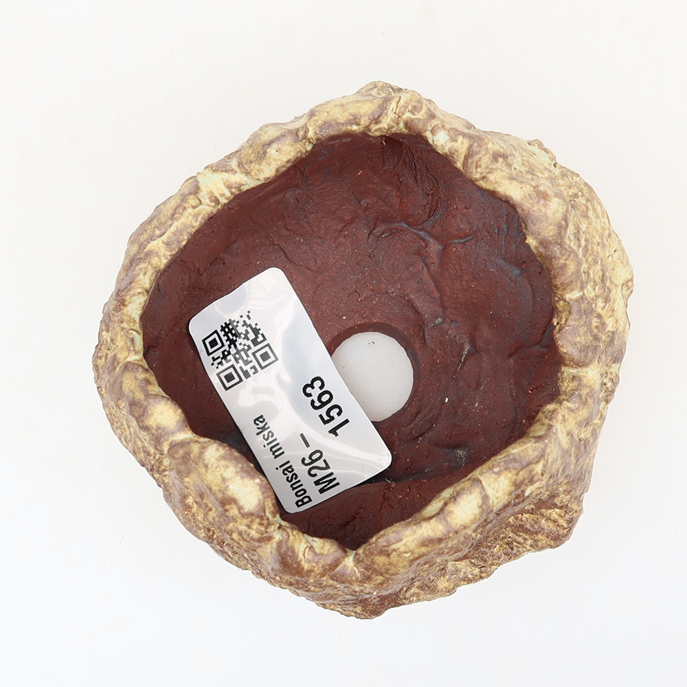 Coquille en céramique  6 x 5 x 5,5 cm , couleur marron