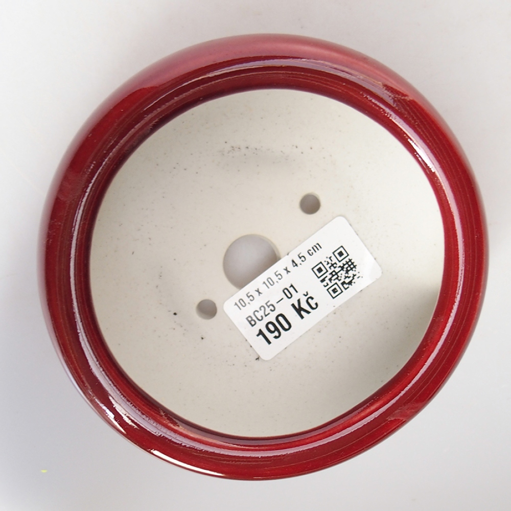 Bol à bonsaï en céramique 10,5 x 10,5 x 4,5 cm, couleur rouge