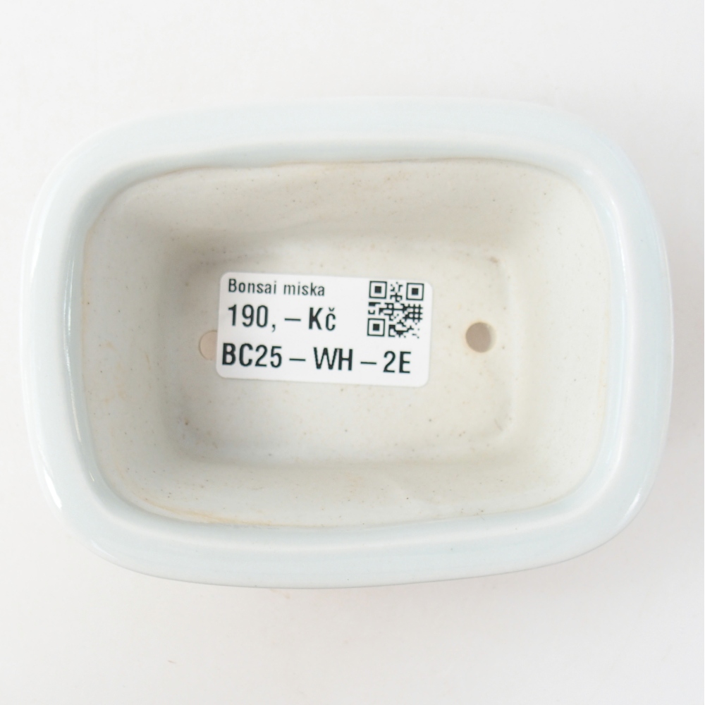 Mini bol bonsaï 10 x 7,5 x 4 cm, couleur blanc