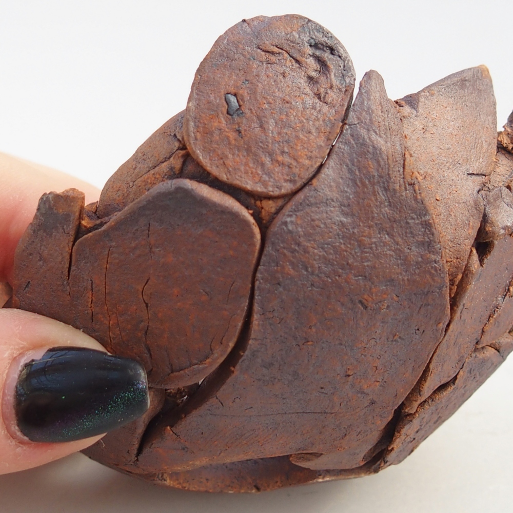 Coquille en céramique 8,5 x 8,5 x 5,5 cm , couleur marron