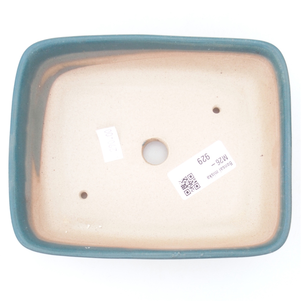 Bol à bonsaï en céramique 15 x 12 x 4,5 cm, couleur bleu