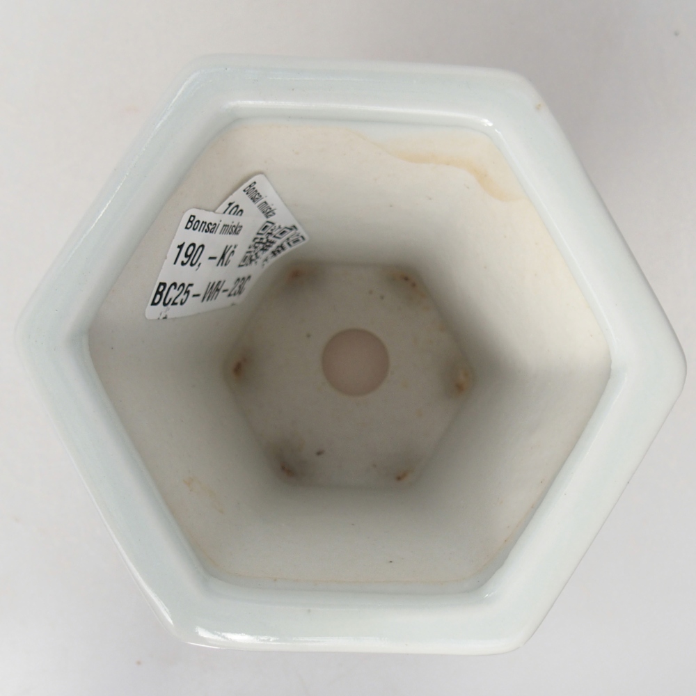 Bol à bonsaï en céramique 10 x 9 x 9 cm, couleur blanc