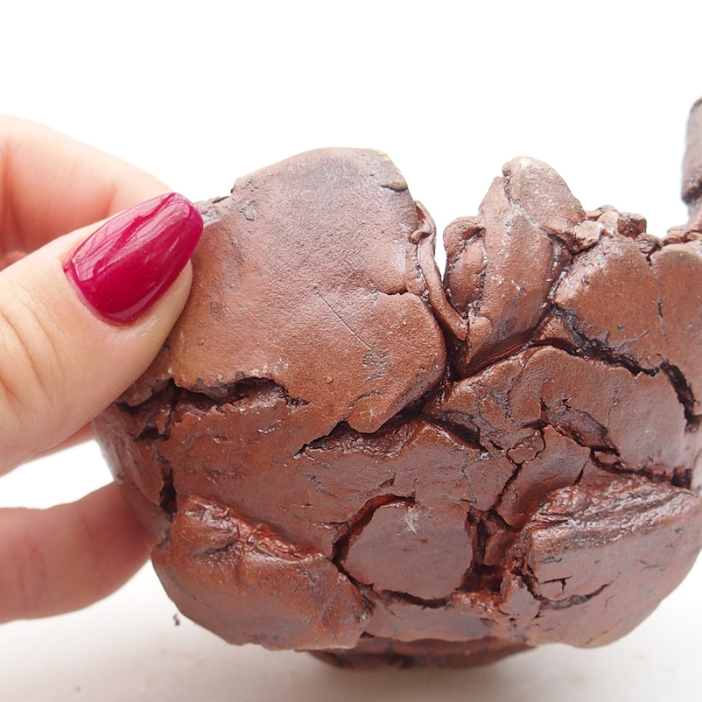 Coquille en céramique 10 x 9 x 7 cm , couleur marron