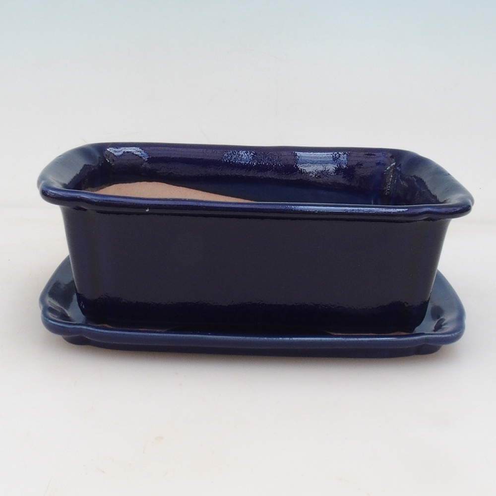 Bol Bonsaï + soucoupe H50 - bleu