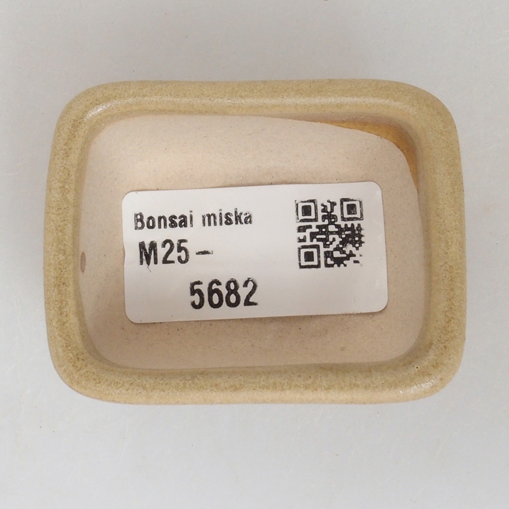 Mini bol bonsaï 5,5 x 4,5 x 2,5 cm, brun