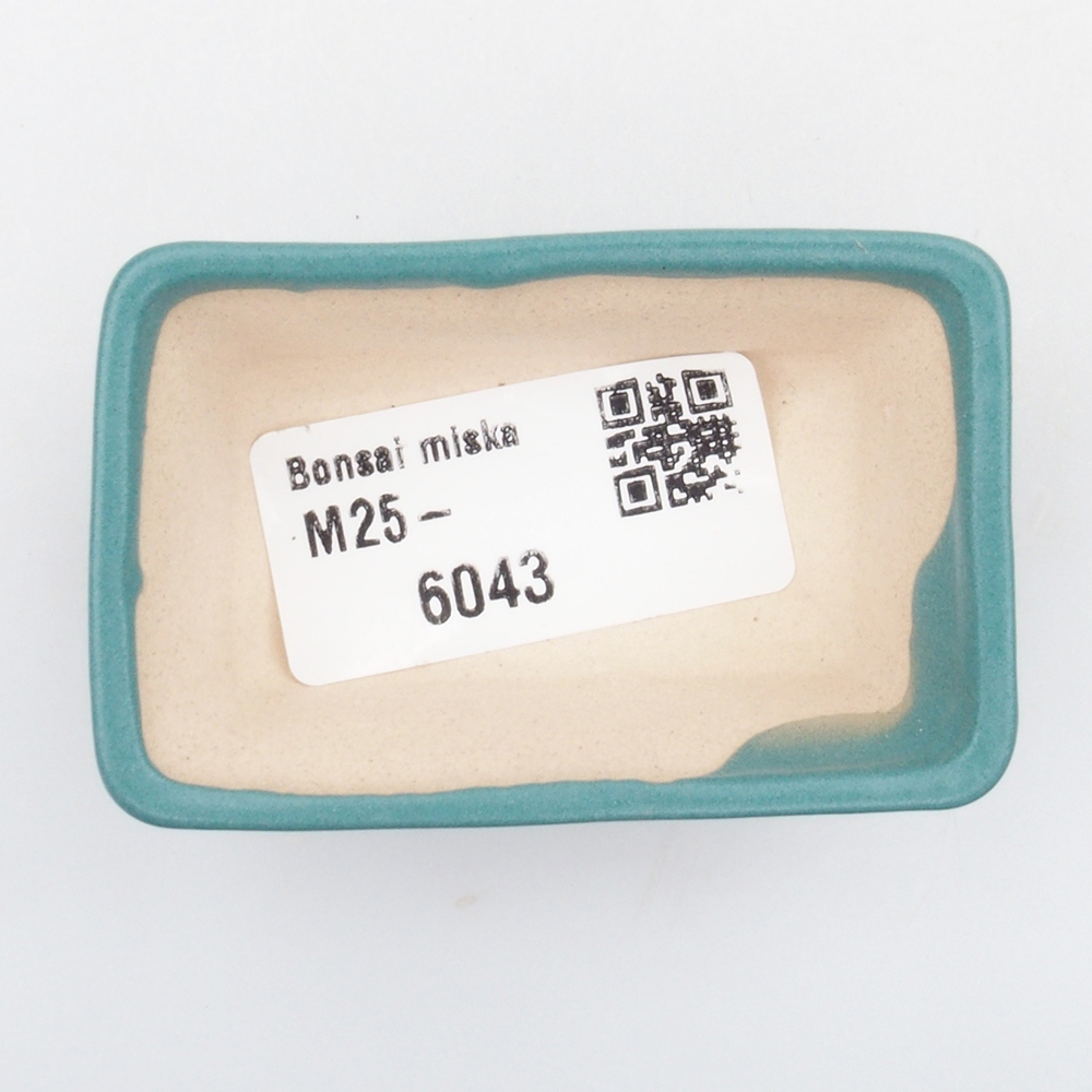 Bol à bonsaï en céramique 6,5 x 5,5 x 4 cm, couleur bleu