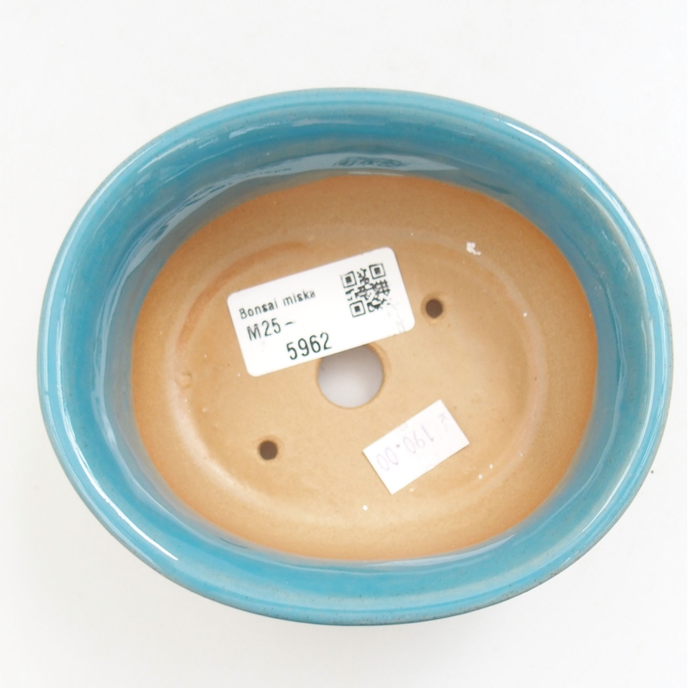 Bol à bonsaï en céramique 22 x 17 x 5 cm, vert