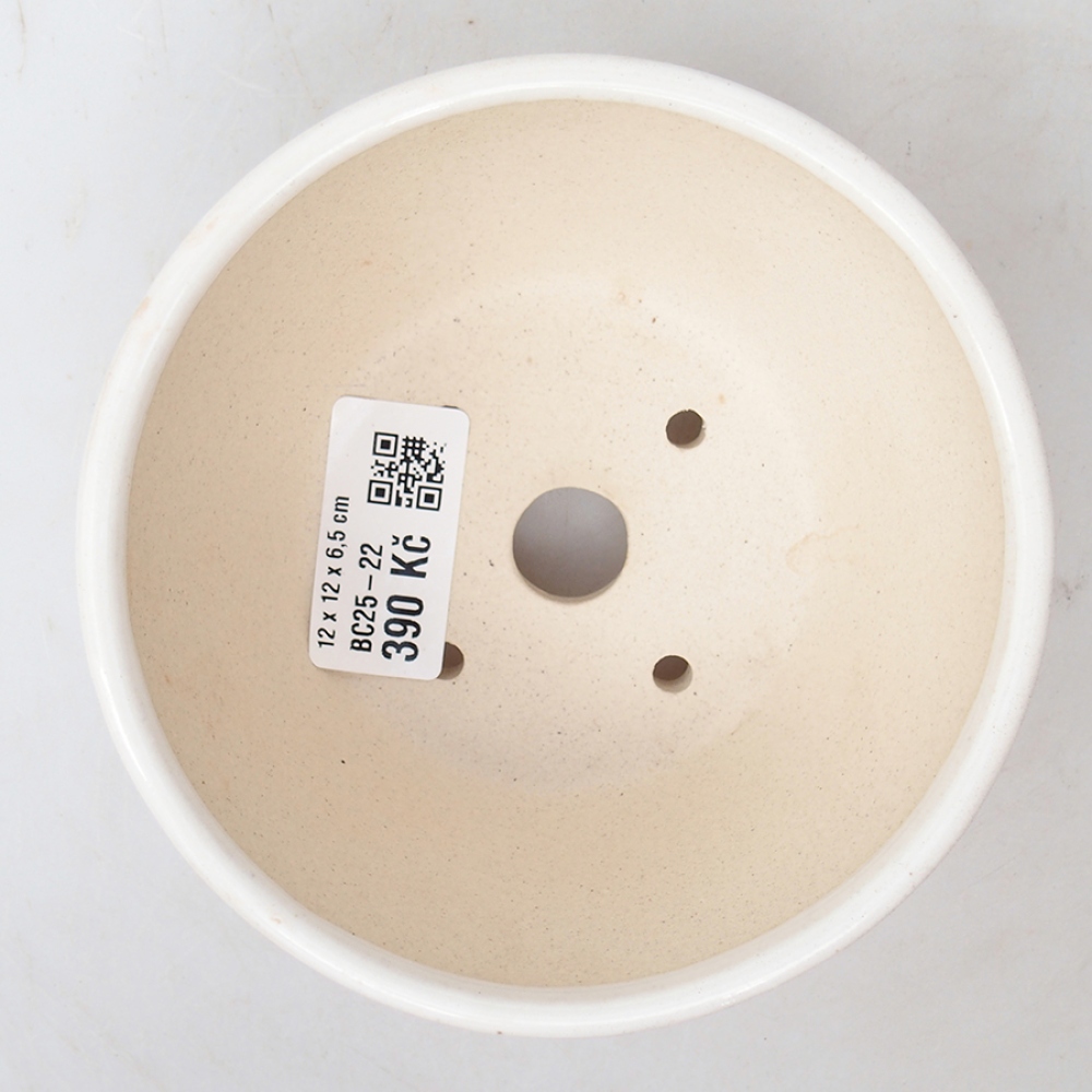 Bol à bonsaï en céramique 12 x 12 x 6,5 cm, couleur blanc