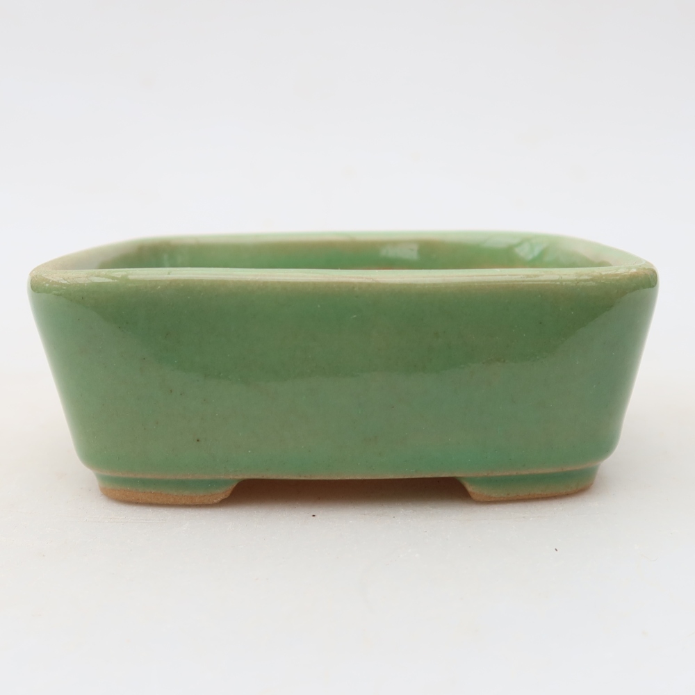 Pot à bonsaï en céramique 10 x 8 x 3,5 cm, couleur verte
