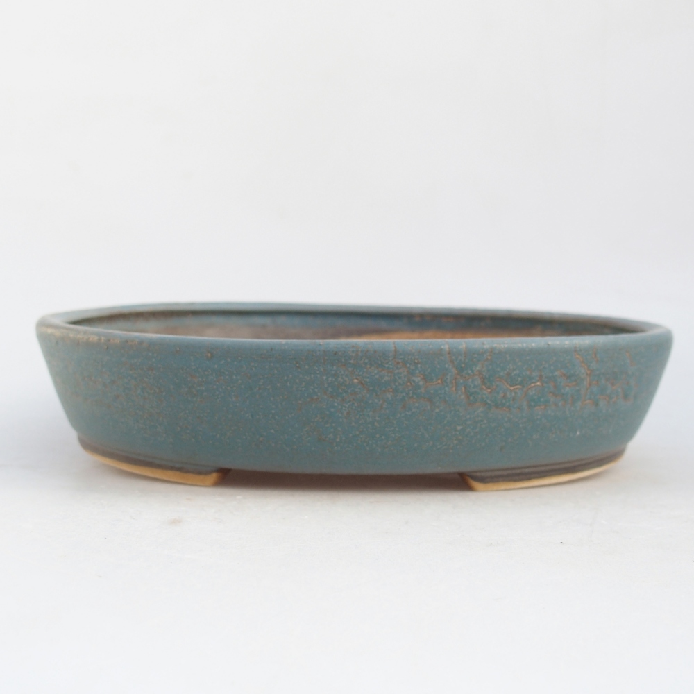 Bol à bonsaï en céramique 23 x 20 x 4,5 cm, couleur bleu