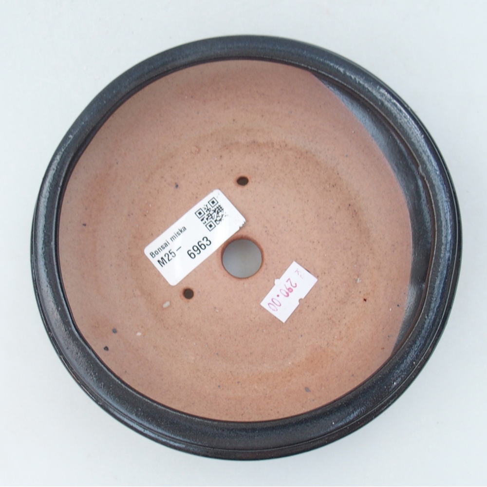 Bol à bonsaï en céramique 15 x 15 x 5 cm, noir