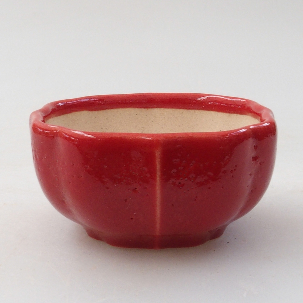 Mini bol bonsaï 6 x 5,5 x 2,5 cm, couleur rouge