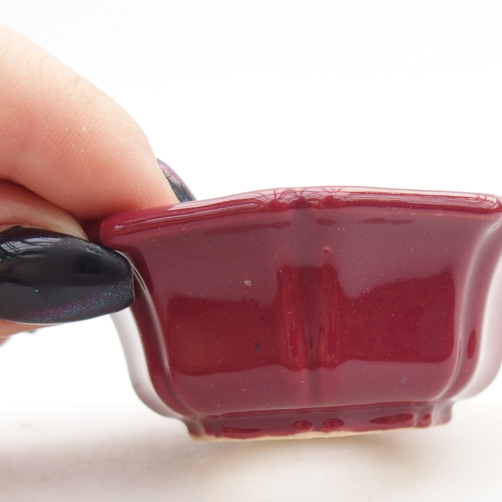 Mini bol bonsaï 6 x 6 x 2,5 cm, bordeaux