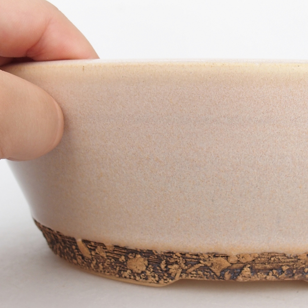 Bol à bonsaï en céramique 22 x 22 x 7,5 cm, couleur beige