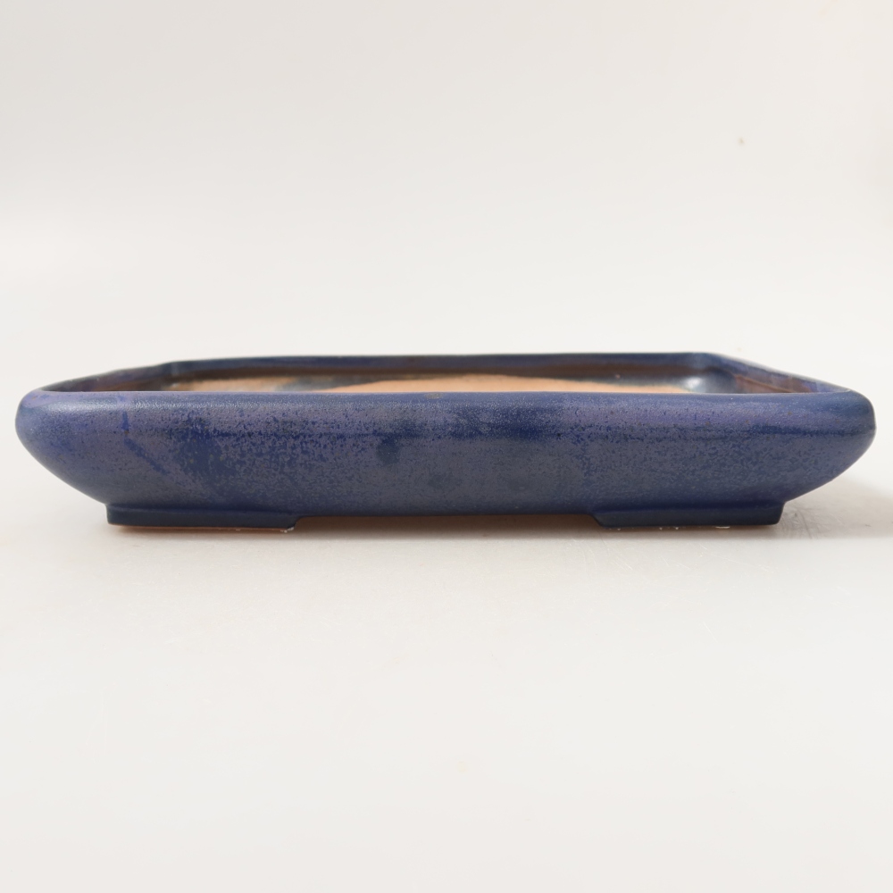Pot à bonsaï en céramique 24 x 17,5 x 4 cm, couleur bleue