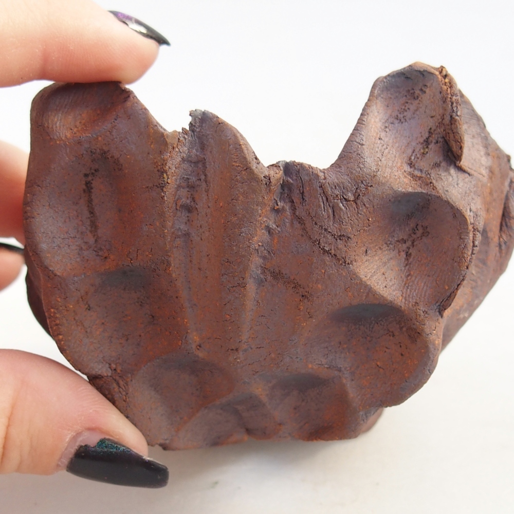 Coquille en céramique 9 x 9 x 6,5 cm , couleur marron