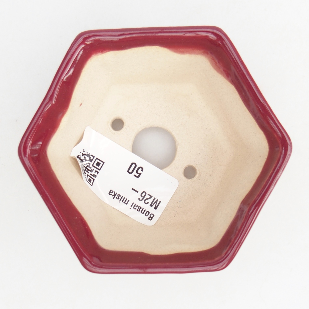 Mini bol bonsaï 8 x 7 x 4 cm, bordeaux
