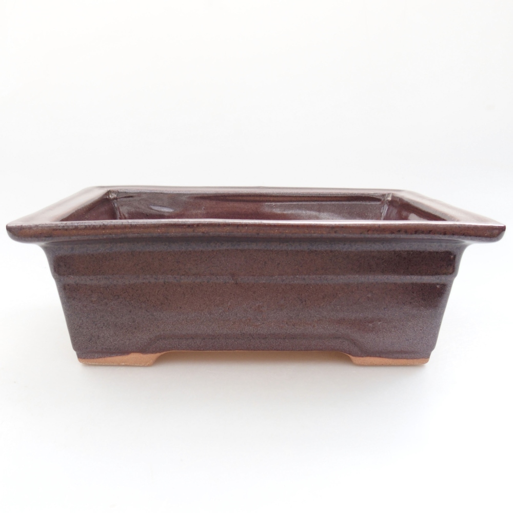 Bol à bonsaï en céramique 22 x 17 x 5 cm, vert