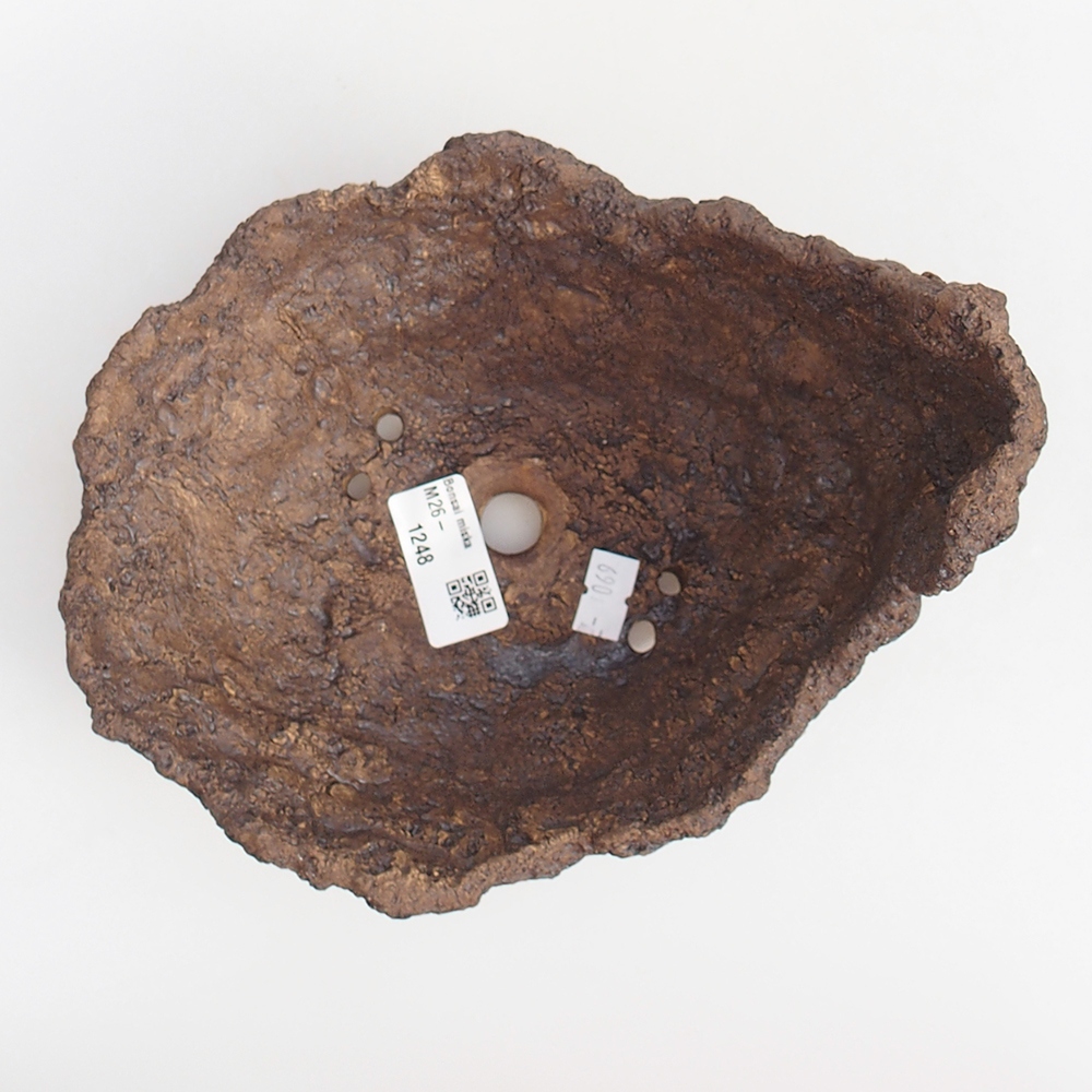 Coquille en céramique 19 x 15 x 14 cm , couleur marron