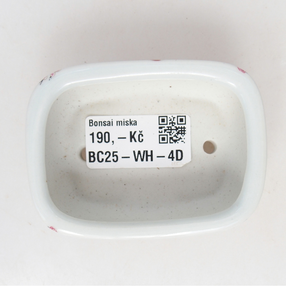 Mini bol bonsaï 8 x 6 x 3 cm, blanc