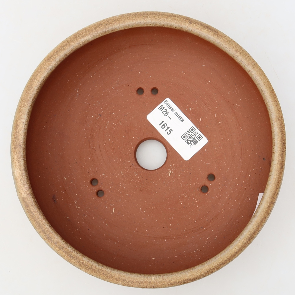 Pot à bonsaï en céramique 16 x 16 x 5,5 cm, couleur marron