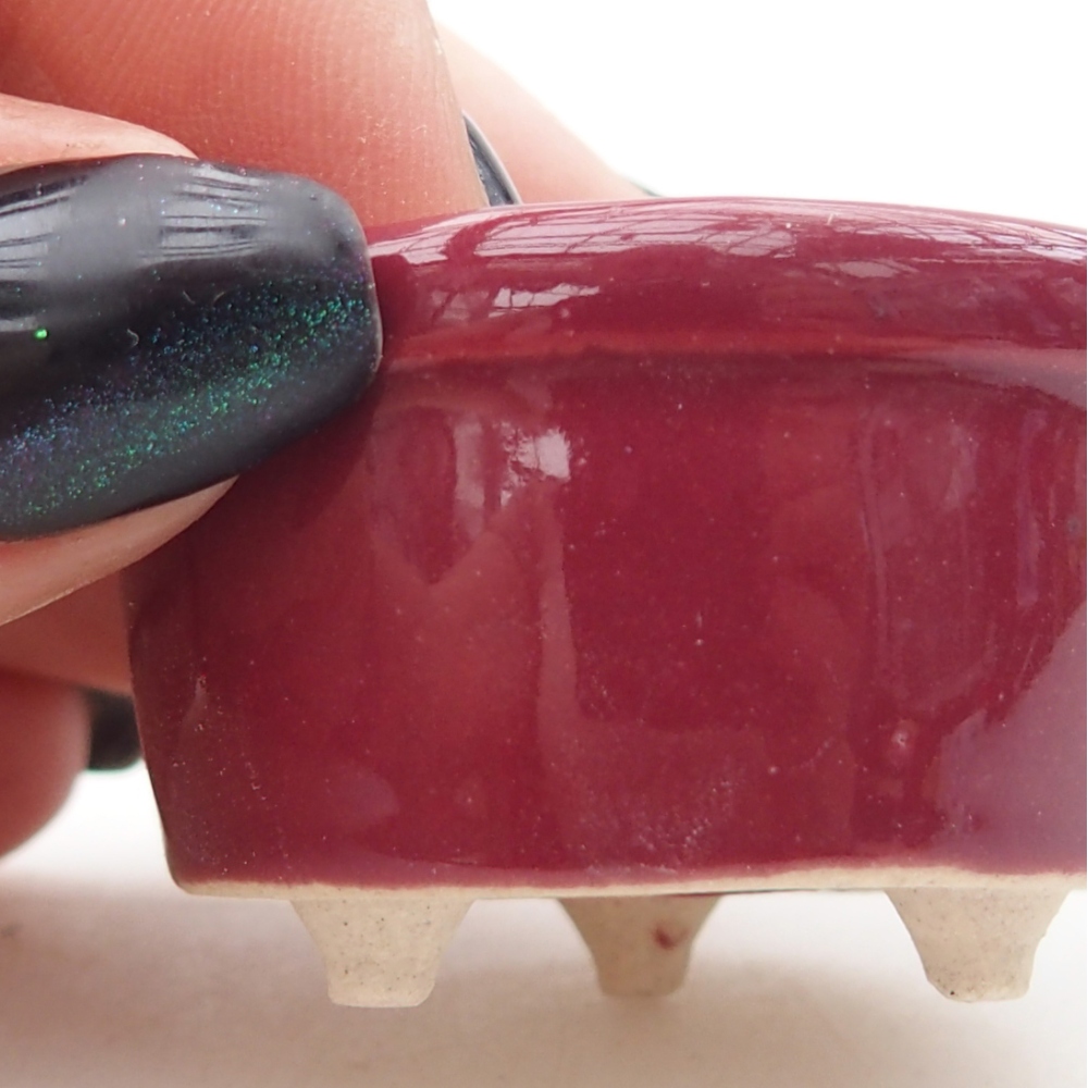 Mini bol bonsaï 4 x 4 x 2 cm, bordeaux