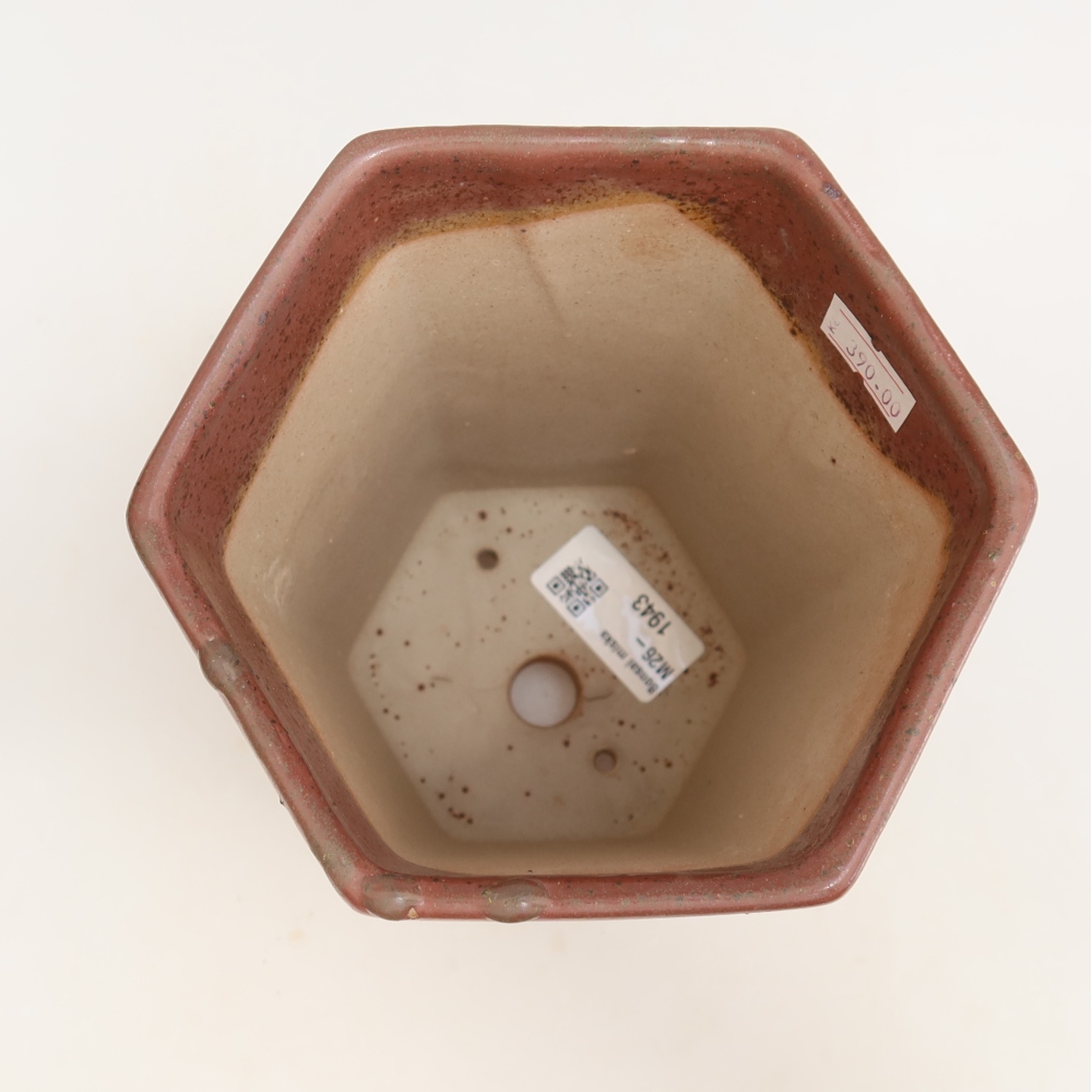Pot à bonsaï en céramique 13 x 12 x 17 cm, couleur rose