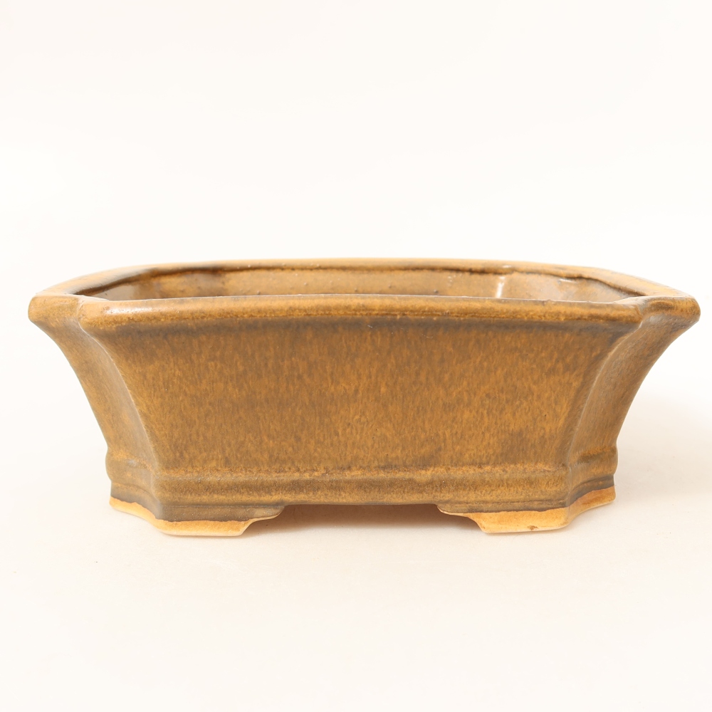 Pot à bonsaï en céramique 18 x 15 x 6 cm, couleur rose
