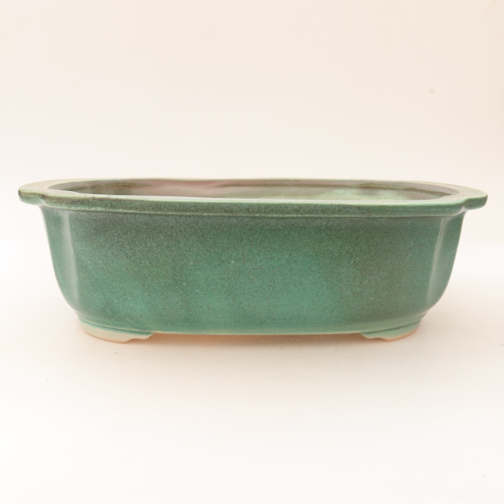 Pot à bonsaï en céramique 24,5 x 21 x 7,5 cm, couleur verte