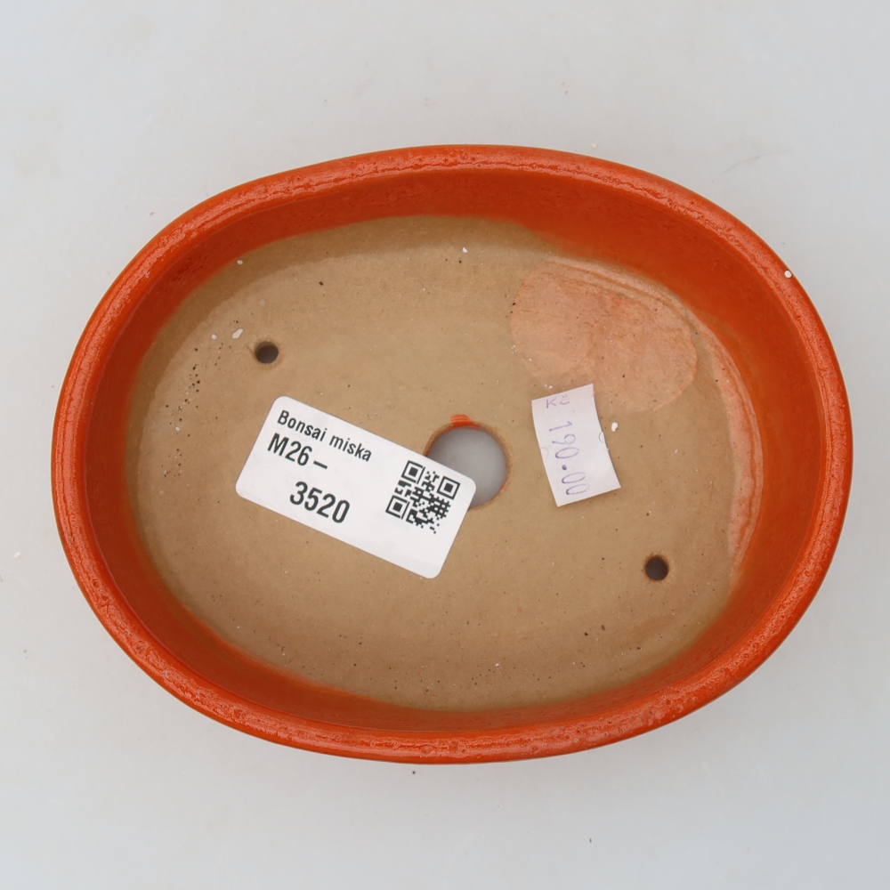 Pot à bonsaï en céramique 13 x 10 x 3,5 cm, couleur orange