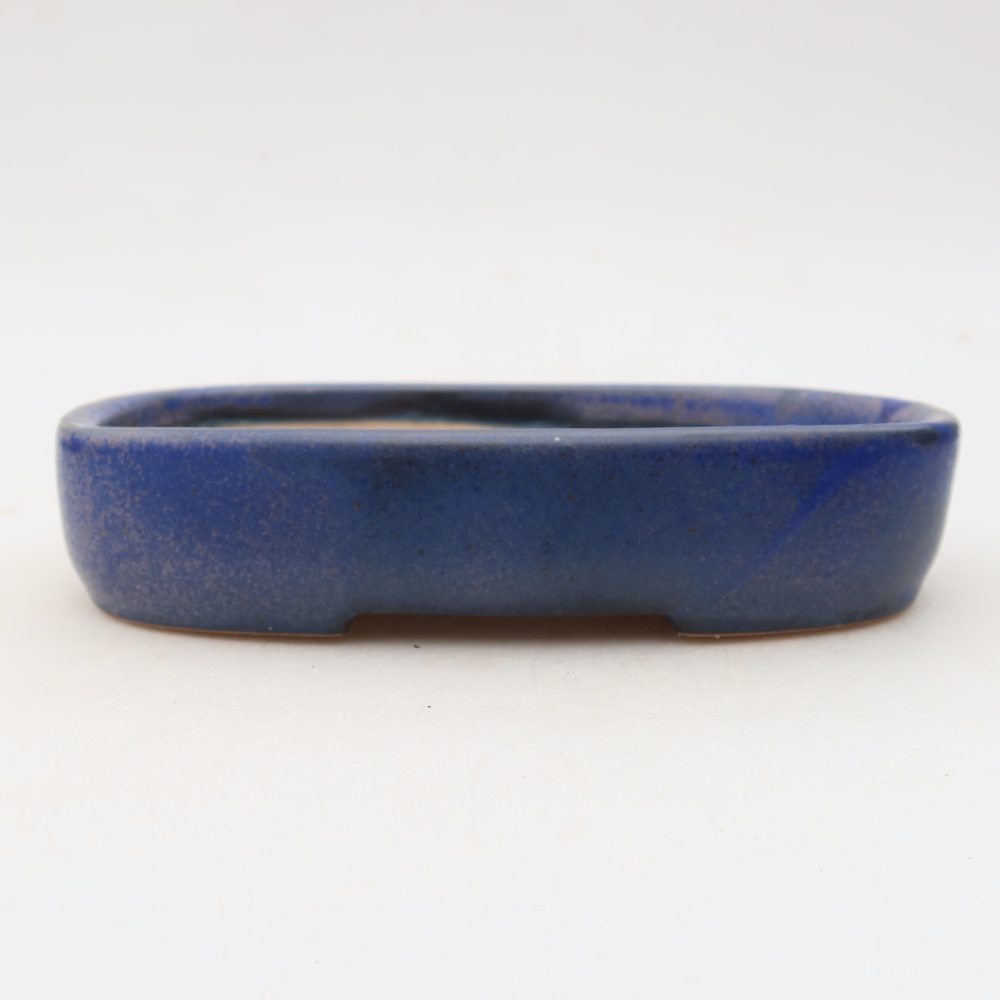 Bol à bonsaï en céramique 16 x 11 x 3,5 cm, couleur bleu