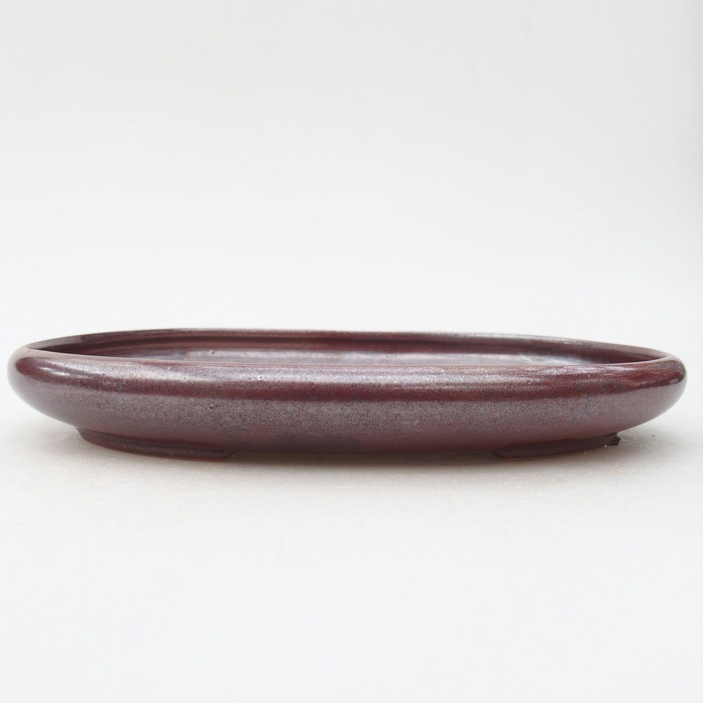 Bol à bonsaï en céramique 22,5 x 16,5 x 3 cm, bordeaux