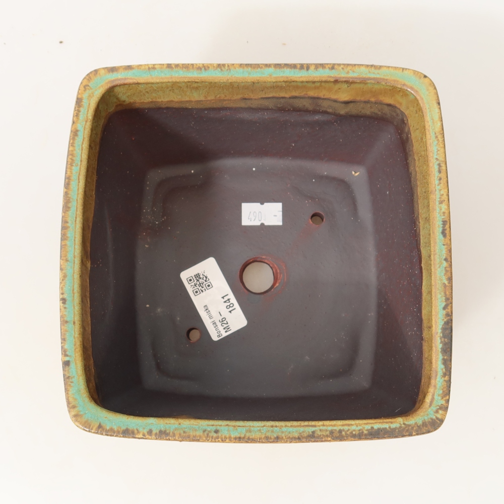 Bol à bonsaï en céramique 16 x 16 x 10 cm, vert