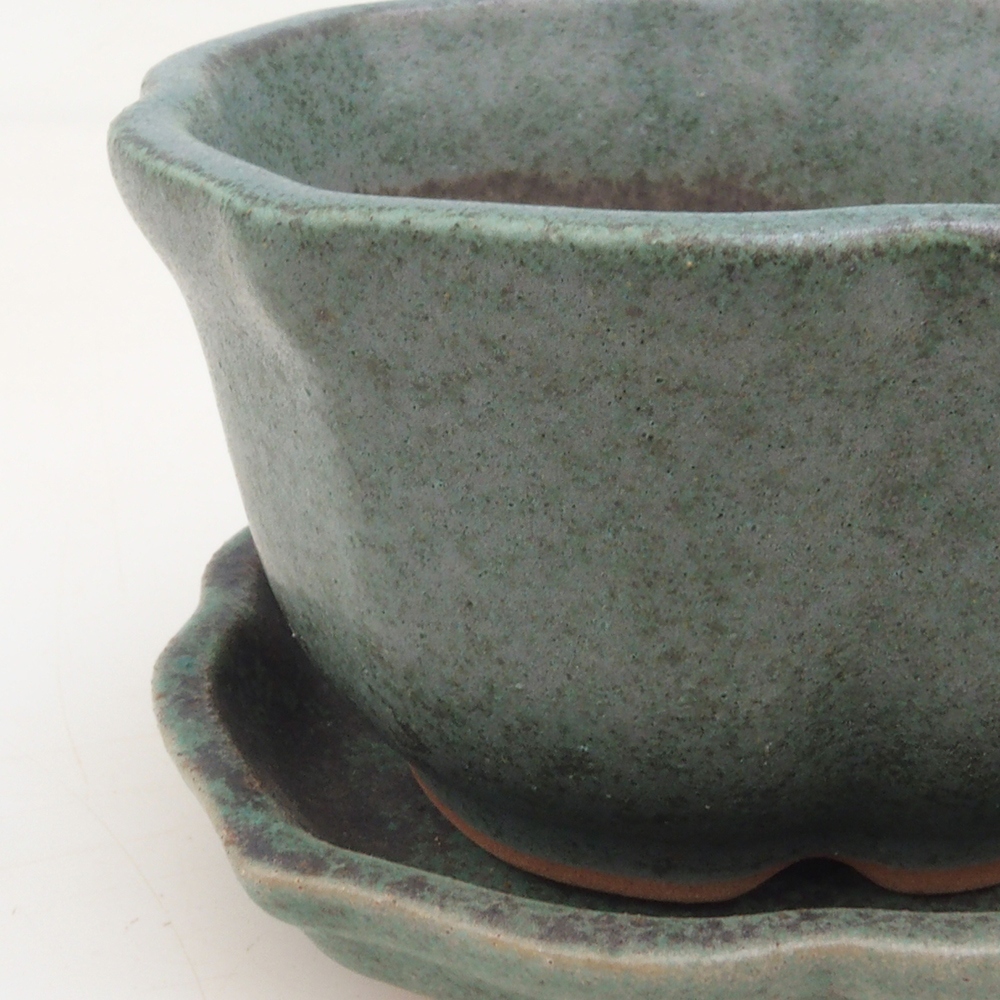 Bol Bonsaï + soucoupe H95 - vert