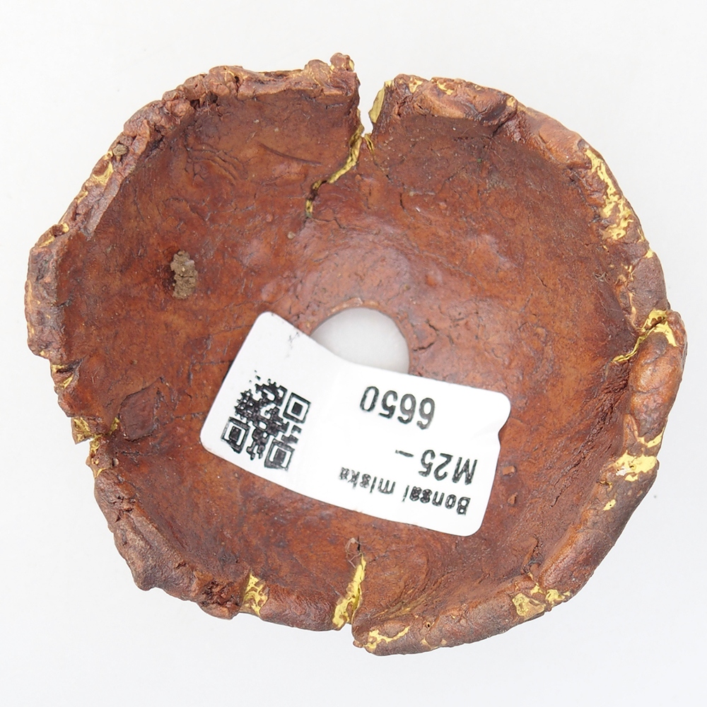 Coquille en céramique 7 x 6,5 x 4 cm , couleur jaune