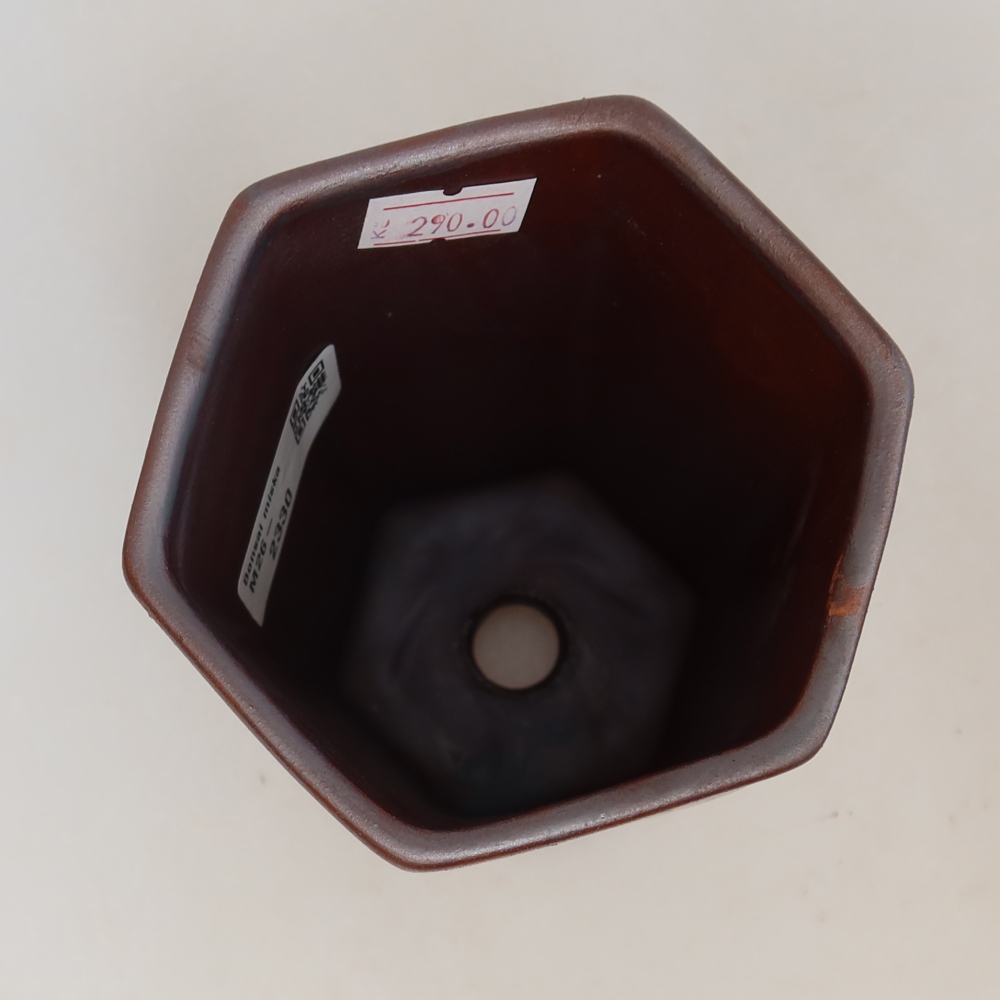 Pot à bonsaï en céramique 9,5 x 8,5 x 14,5 cm, couleur métallique