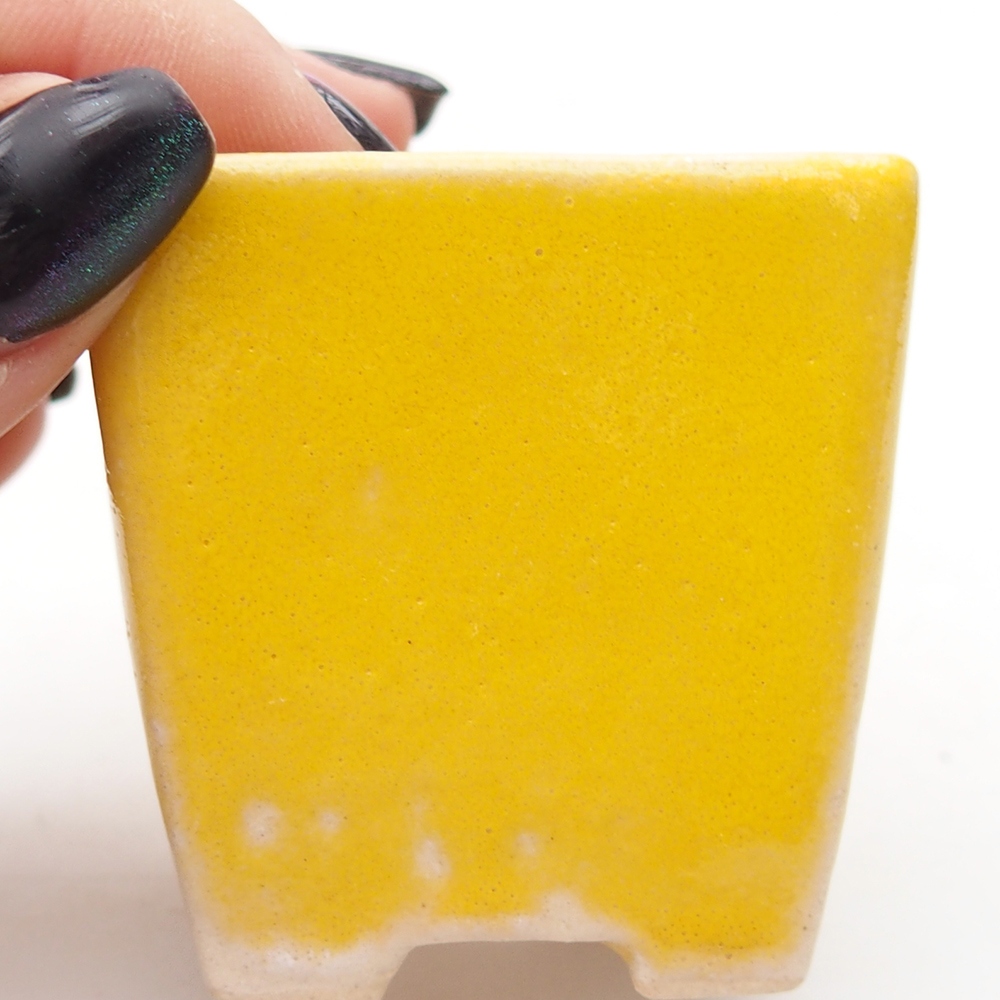 Mini bol bonsaï 5 x 5 x 5 cm, jaune