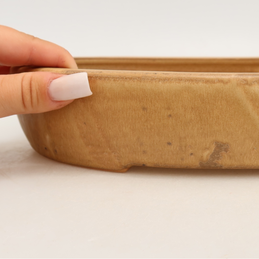 Bol à bonsaï en céramique 27 x 21 x 5,5 cm, couleur beige