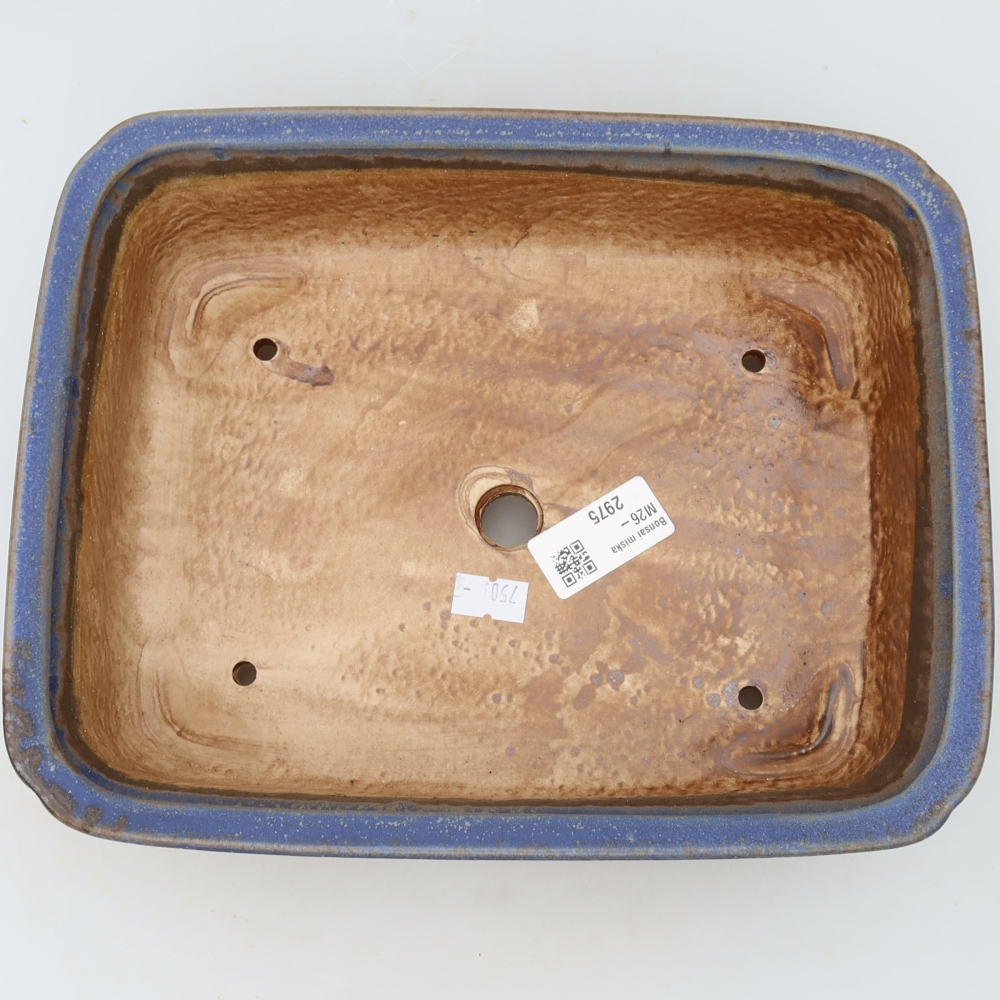 Pot à bonsaï en céramique 25 x 20,5 x 7,5 cm, couleur bleue