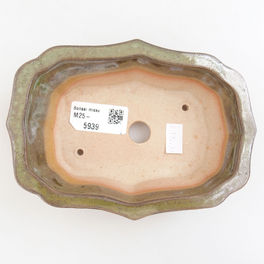 Bol à bonsaï en céramique 22 x 17 x 5 cm, vert
