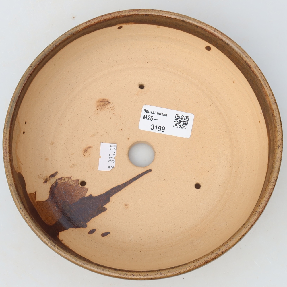 Pot à bonsaï en céramique 19 x 19 x 5,5 cm, couleur marron