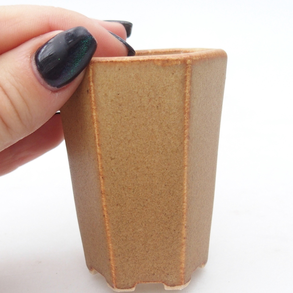 Mini bol bonsaï 5 x 4,5 x 6,5 cm, brun