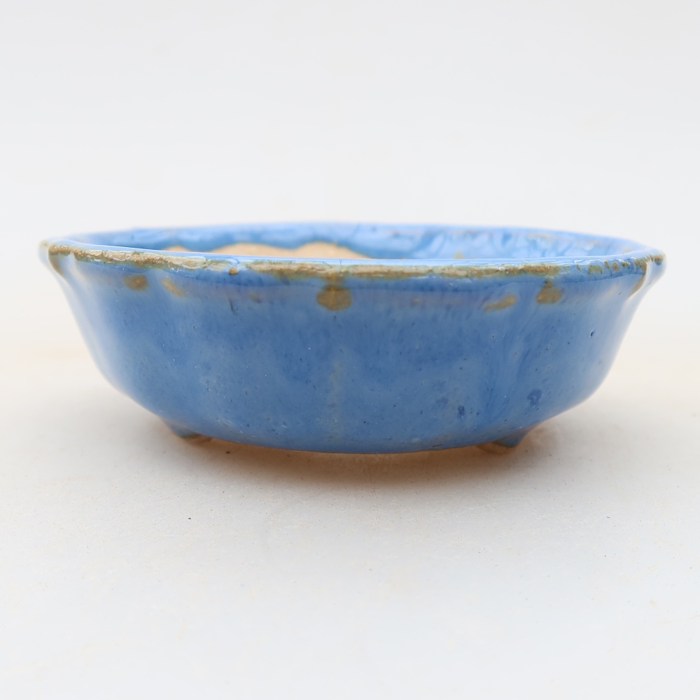 Pot à bonsaï en céramique 7 x 7 x 2,5 cm, couleur bleue