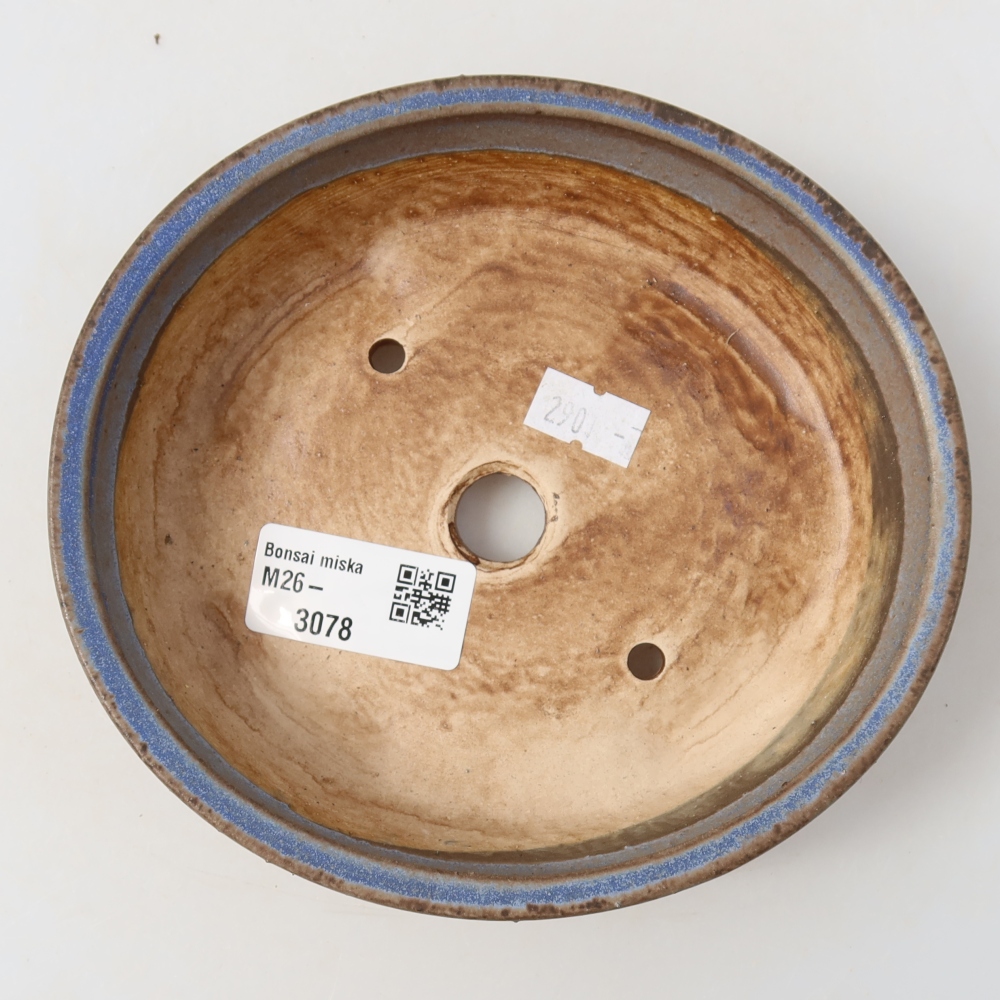 Pot à bonsaï en céramique 15 x 14 x 4 cm, couleur bleue