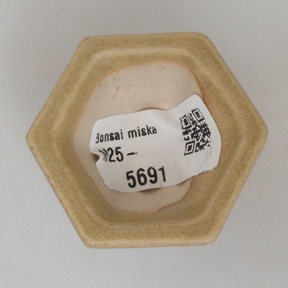 Mini bol bonsaï 4,5 x 4,5 x 2,5 cm, brun