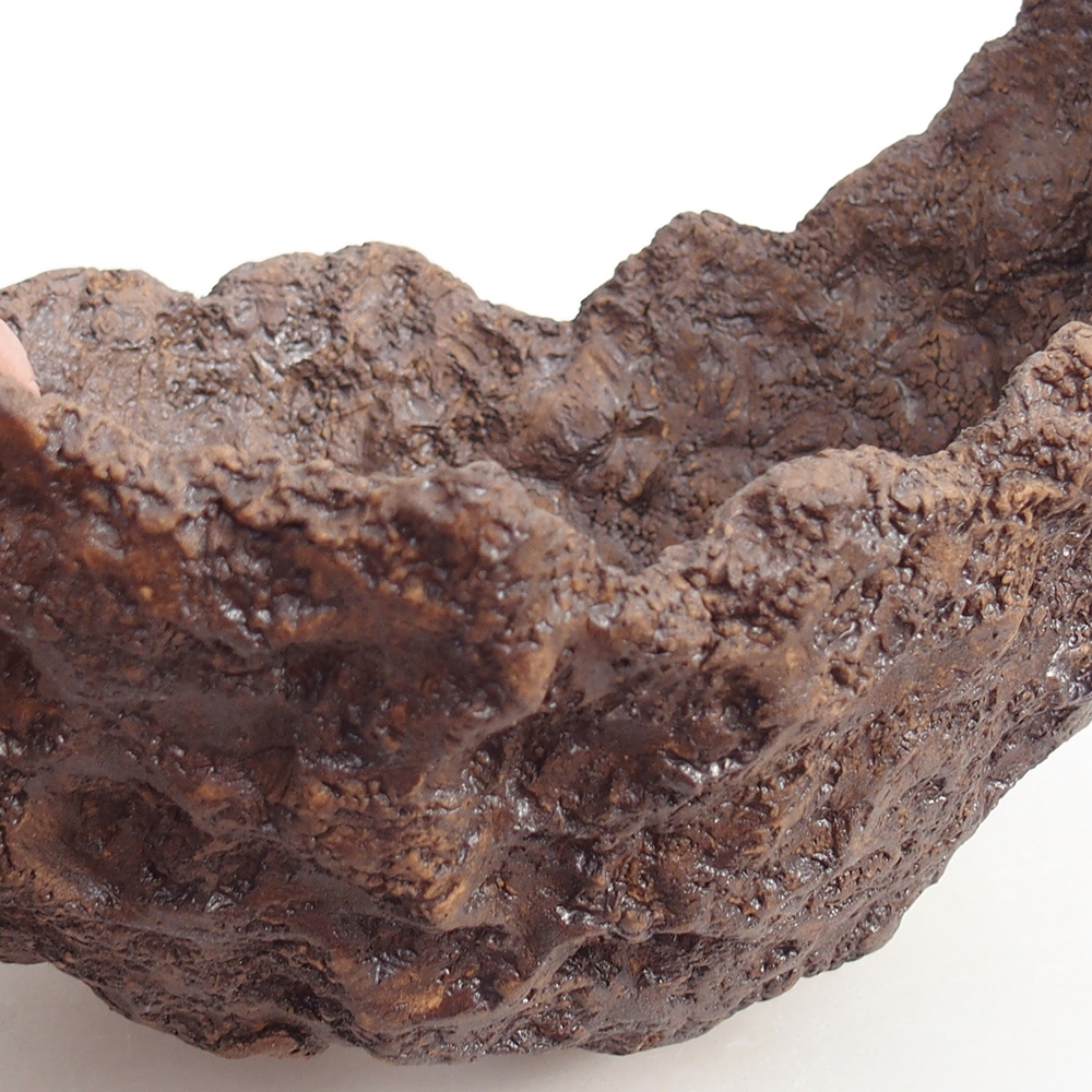 Coquille en céramique 20 x 16 x 17 cm , couleur marron