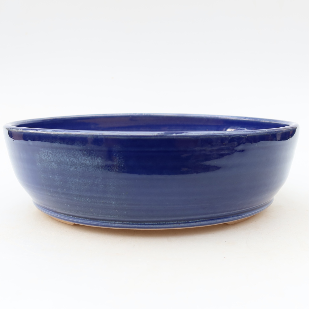 Bol à bonsaï en céramique 20 x 20 x 6 cm, couleur bleu