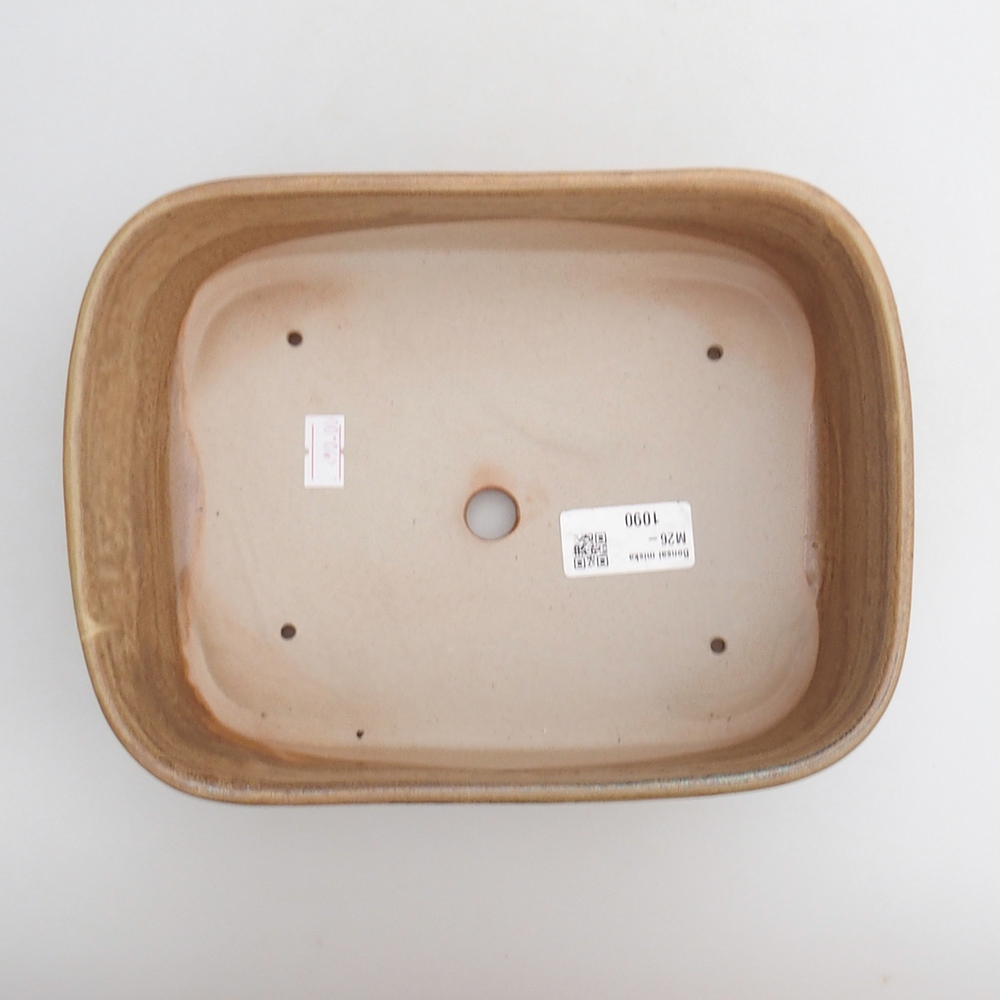 Bol à bonsaï en céramique 23 x 17 x 7,5 cm, brun