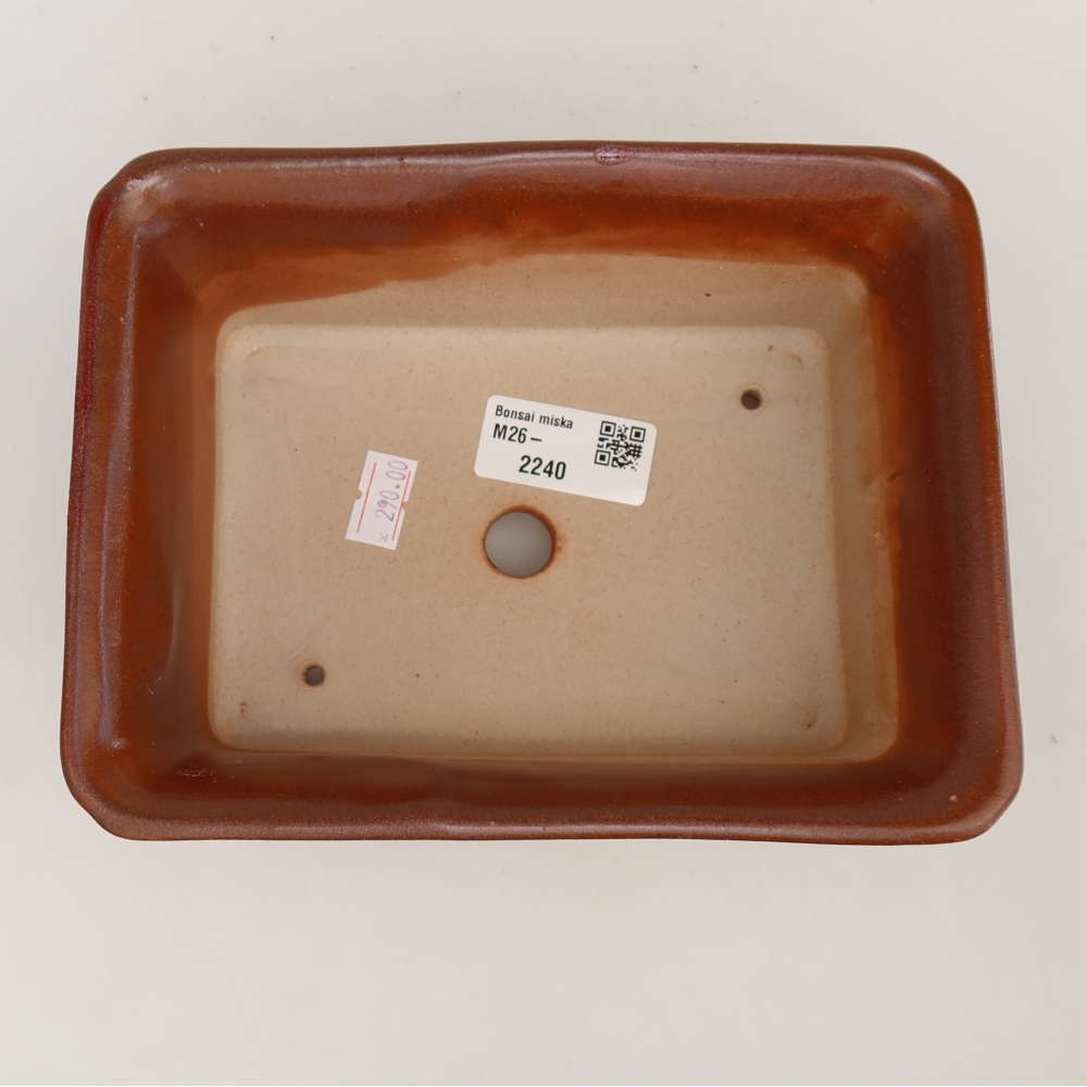 Pot à bonsaï en céramique 18 x 14 x 7 cm, couleur bordeaux